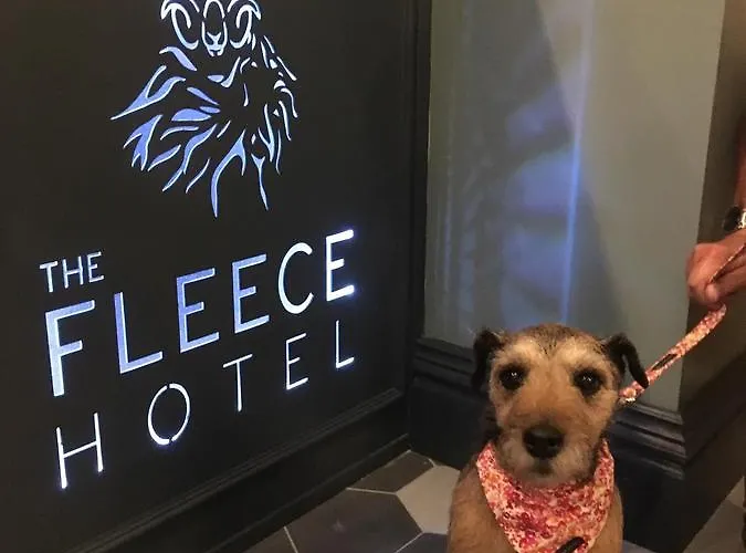 The Fleece Hotel